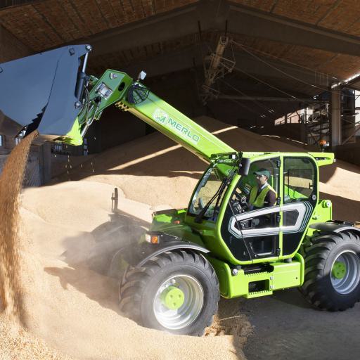 Merlo